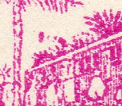 Scan of Coconut Falling