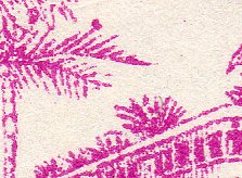Scan of Coconut in Tree
